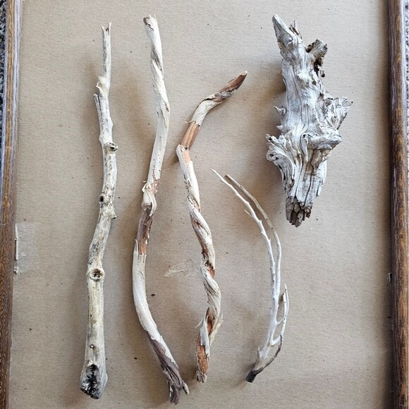 Driftwood Decor Terrarium Combo Pack Taxidermy Aquarium Aquascape Reptile Parrot - Picture 3 of 11